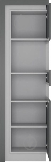 Витрина Meble Wojcik LYON LYOV03 P 1D платинум - фото 2 Витрина Meble Wojcik LYON LYOV03 P 1D платинум - фото 2