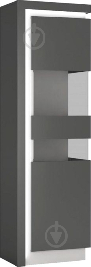 Витрина Meble Wojcik LYON LYOV03 P 1D платинум - фото 1 Витрина Meble Wojcik LYON LYOV03 P 1D платинум - фото 1