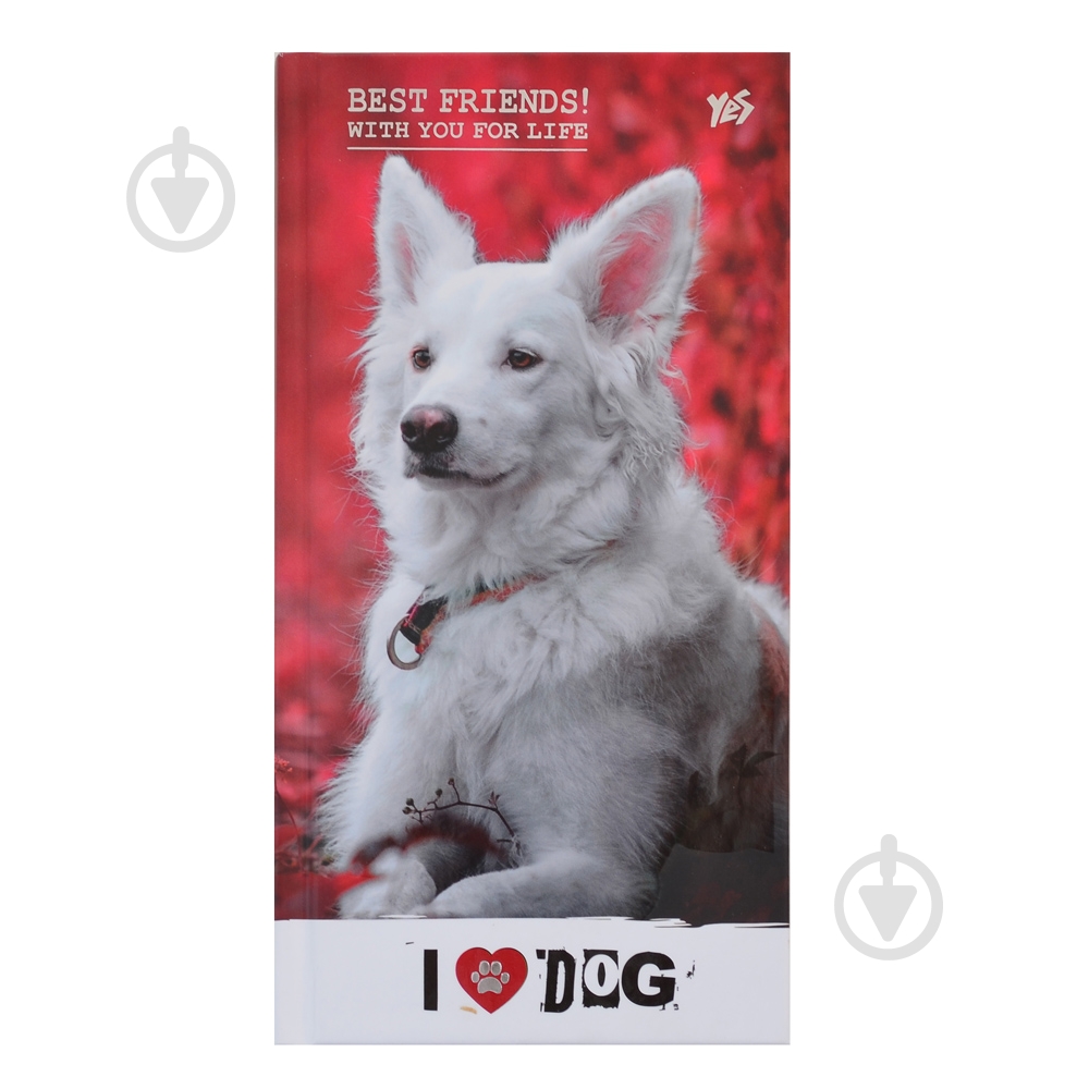 Блокнот YES 100х200 64 7БЦ Cool Pets - фото 1 Блокнот YES 100х200 64 7БЦ Cool Pets - фото 1