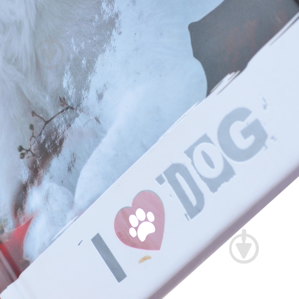 Блокнот YES 100х200 64 7БЦ Cool Pets - фото 2 Блокнот YES 100х200 64 7БЦ Cool Pets - фото 2