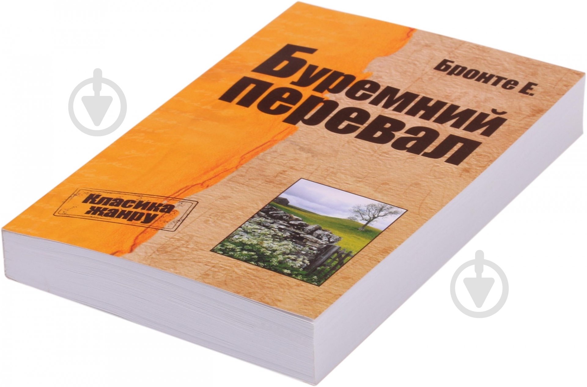 Книга Емілі Бронте «Буремний перевал» 978-617-7025-25-1 - фото 2 Книга Емілі Бронте «Буремний перевал» 978-617-7025-25-1 - фото 2