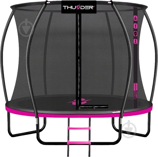 Батут з сіткою і драбинкою Thunder INSIDE-ULTRA-10FT - фото 1