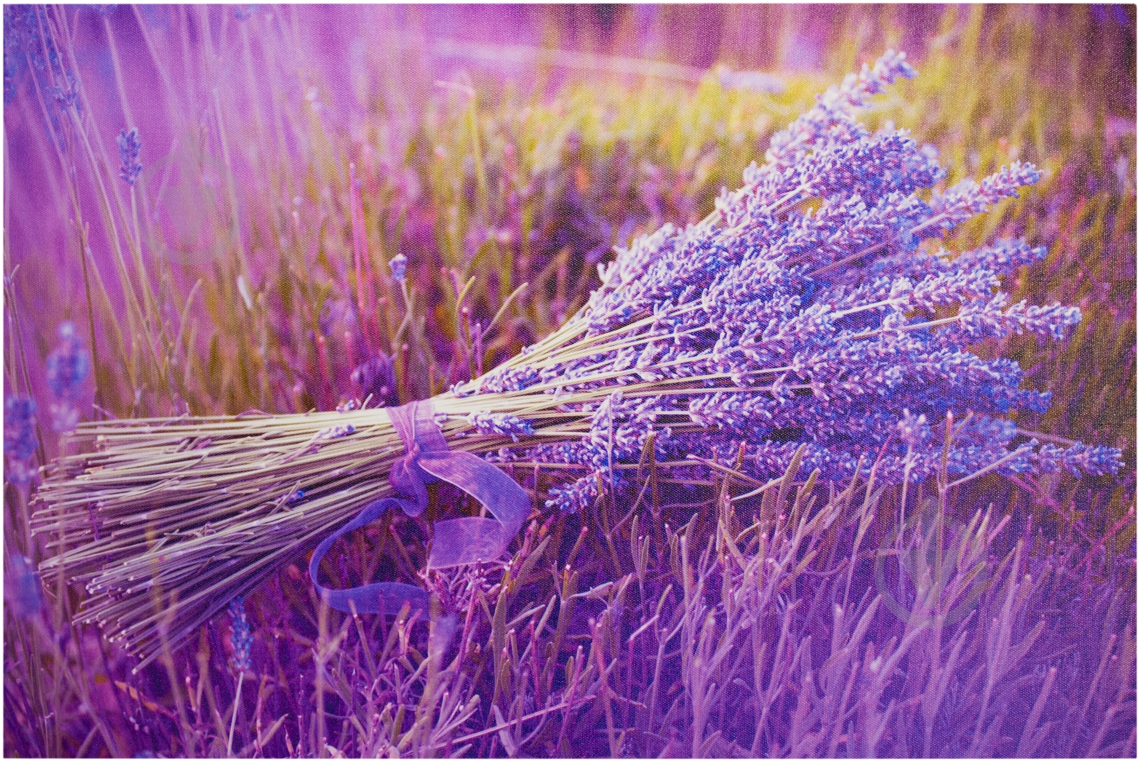 Картина Лаванда КП03-045 60x40 см КП03-045 - фото 1 Картина Лаванда КП03-045 60x40 см КП03-045 - фото 1