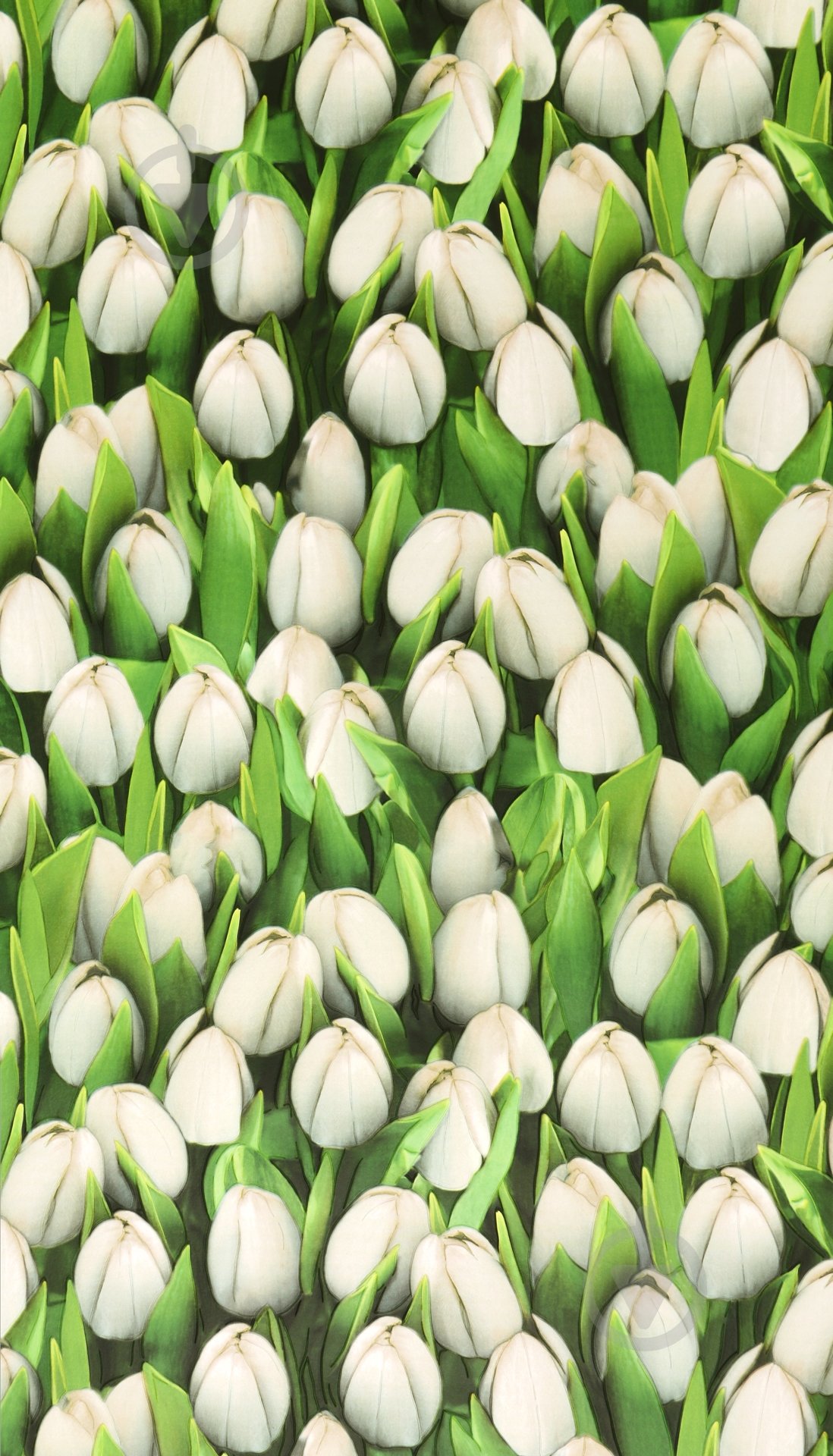 Обои из вспененного винила Sintra Decoration Тюльпаны 416709 0,53x10,05 м - фото 2