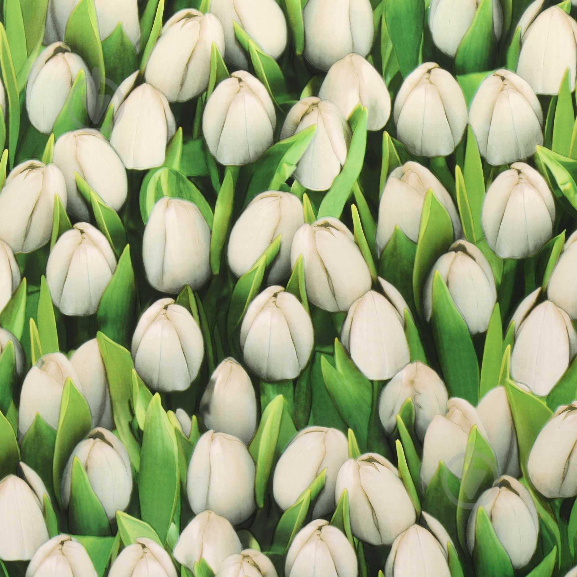 Обои из вспененного винила Sintra Decoration Тюльпаны 416709 0,53x10,05 м - фото 1