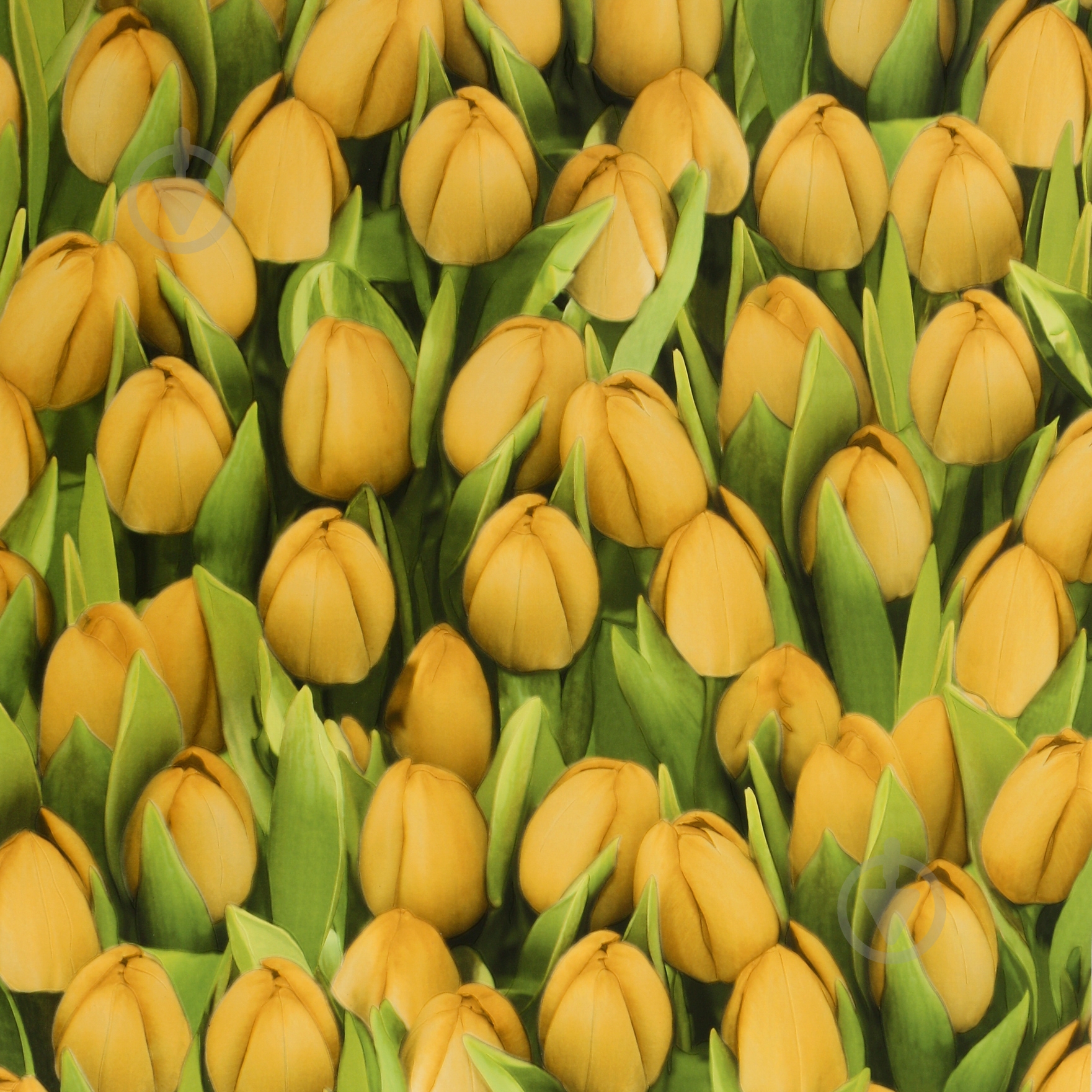 Обои из вспененного винила Sintra Decoration Тюльпаны 416730 0,53x10,05 м - фото 1 Обои из вспененного винила Sintra Decoration Тюльпаны 416730 0,53x10,05 м - фото 1