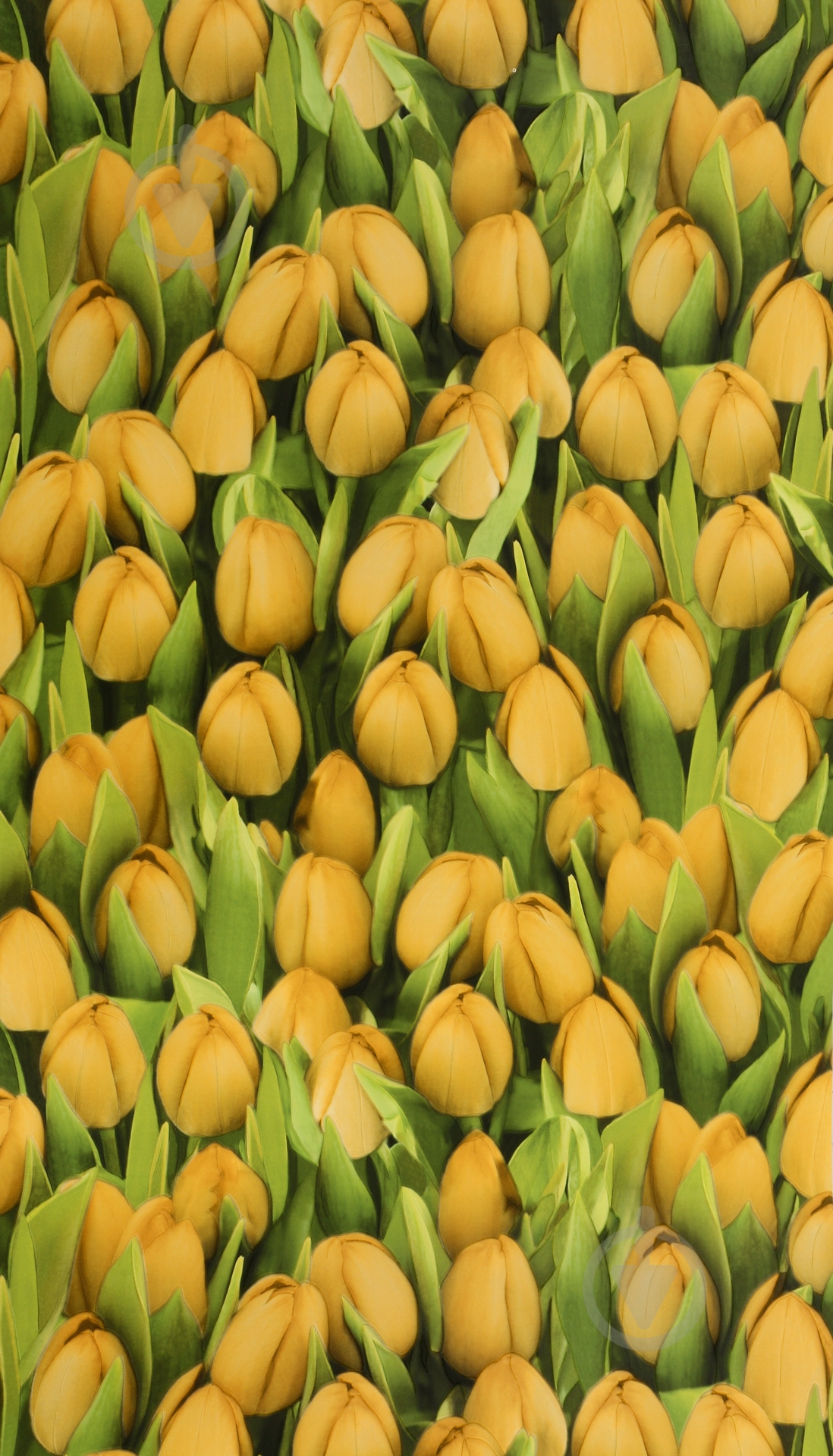 Обои из вспененного винила Sintra Decoration Тюльпаны 416730 0,53x10,05 м - фото 2 Обои из вспененного винила Sintra Decoration Тюльпаны 416730 0,53x10,05 м - фото 2