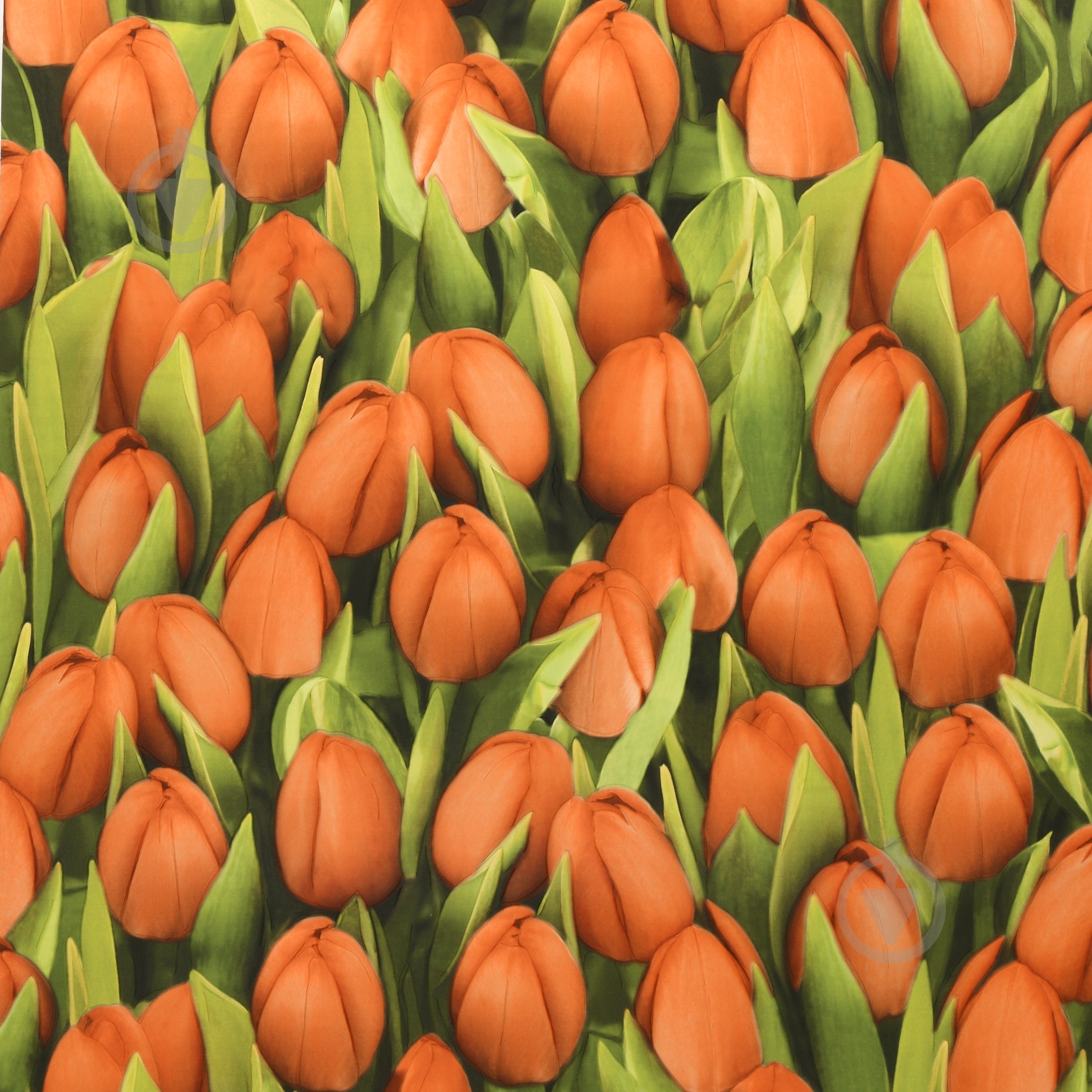 Обои из вспененного винила Sintra Decoration Тюльпаны 416747 0,53x10,05 м - фото 1