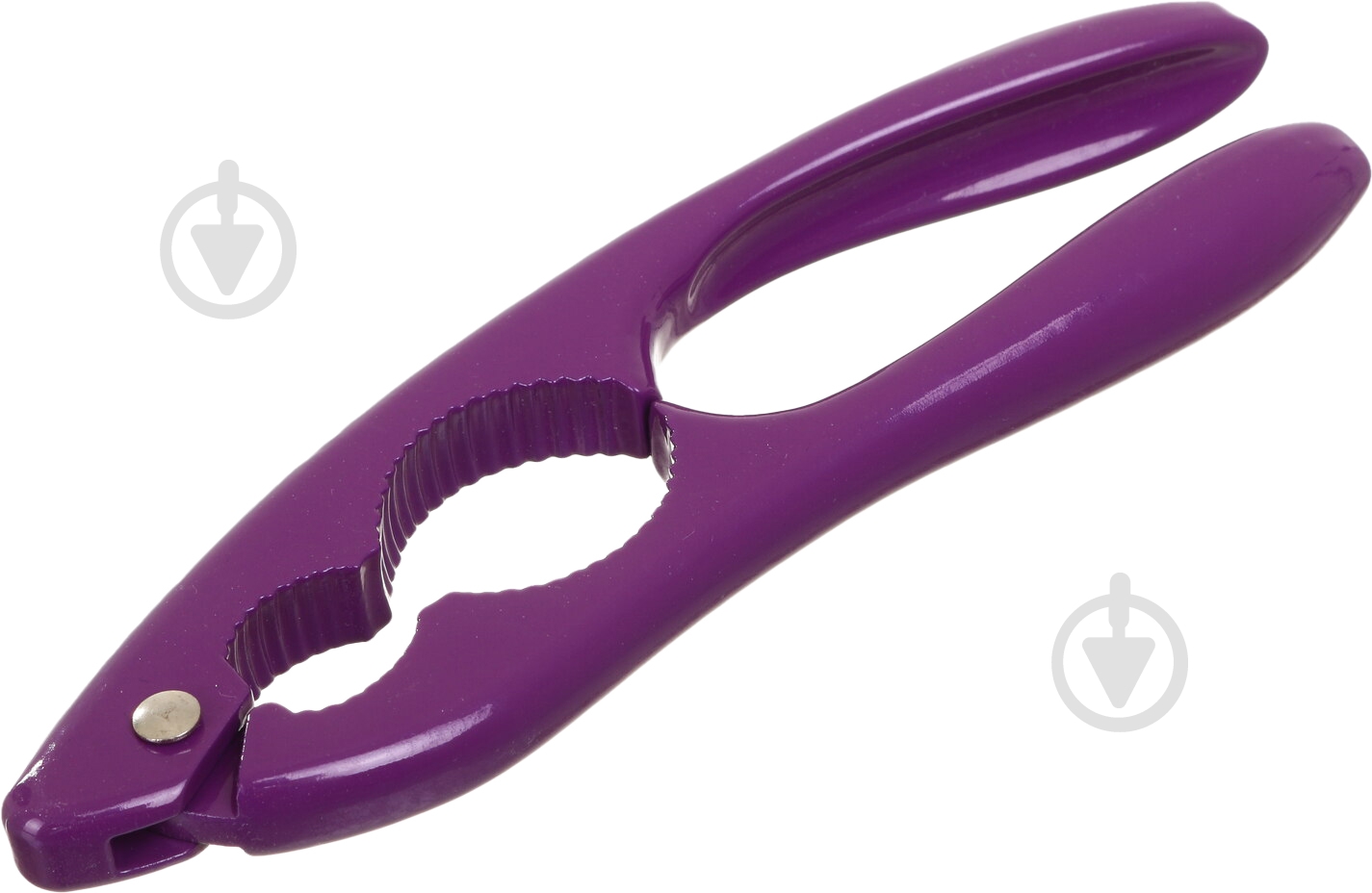 Орехокол Eurogold KLE24QB101 - фото 4