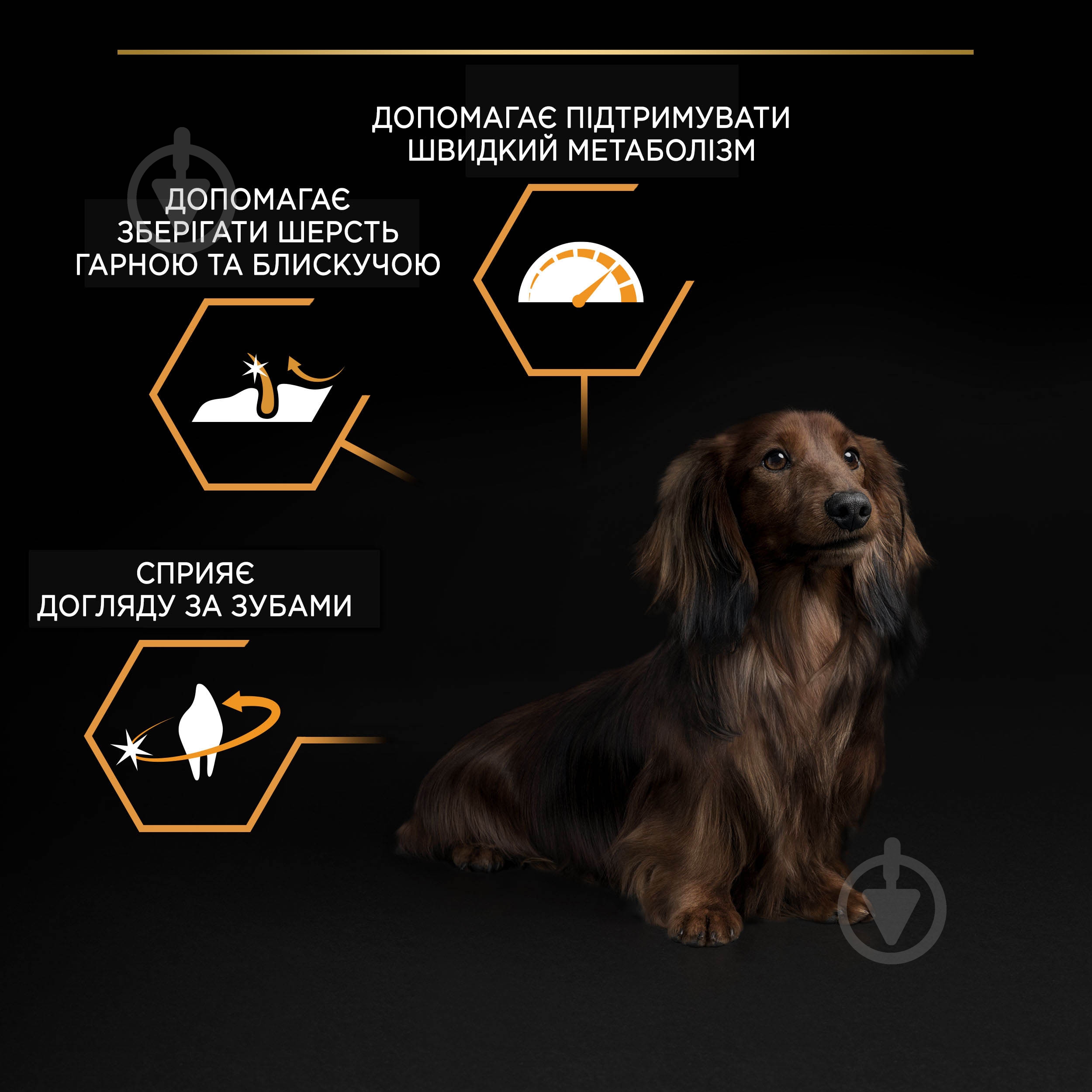 Корм сухой ProPlan by Purina Small&Mini Adult 1+ Everyday Nutrion для взрослых собак с курицей 3 кг - фото 7