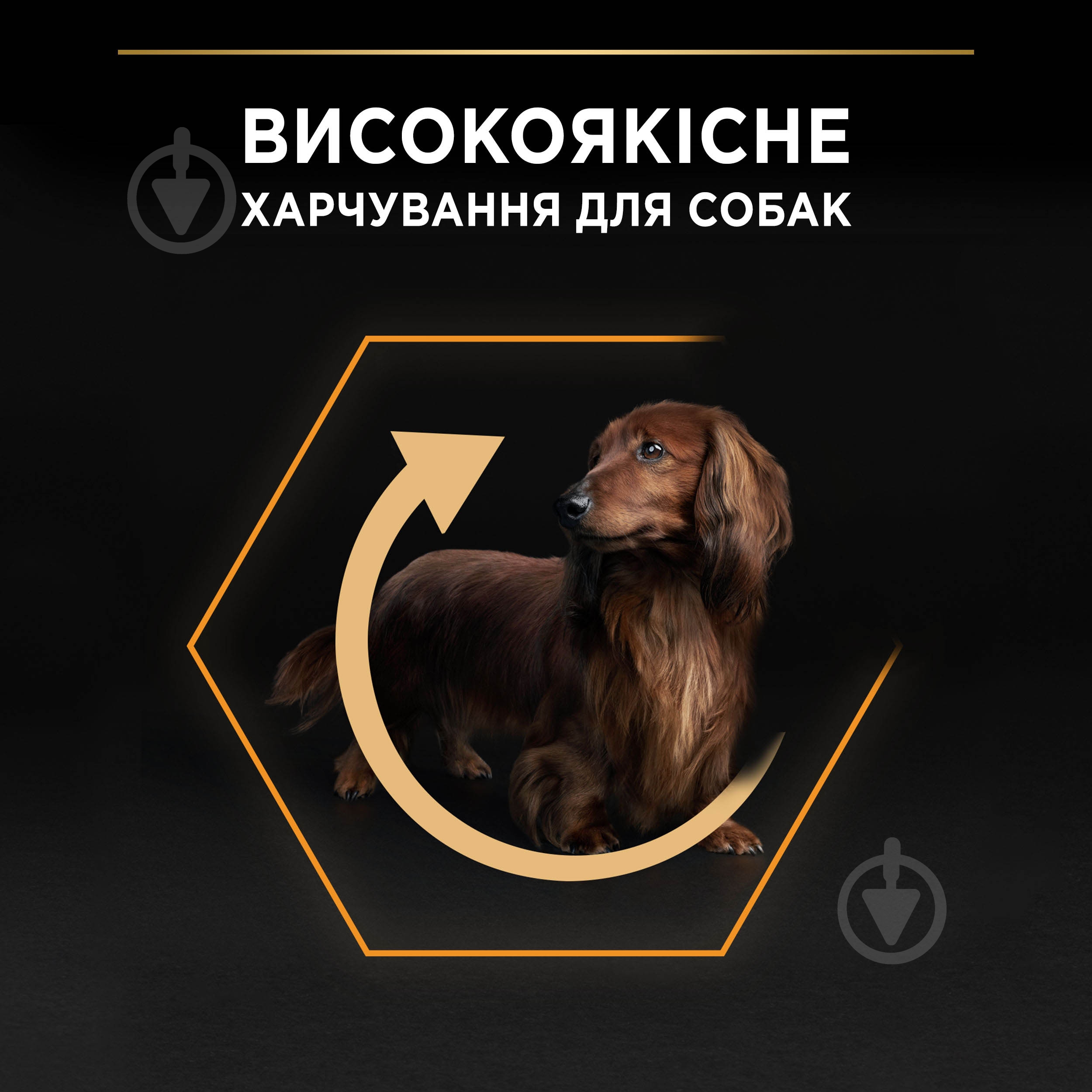 Корм сухой ProPlan by Purina Small&Mini Adult 1+ Everyday Nutrion для взрослых собак с курицей 3 кг - фото 5