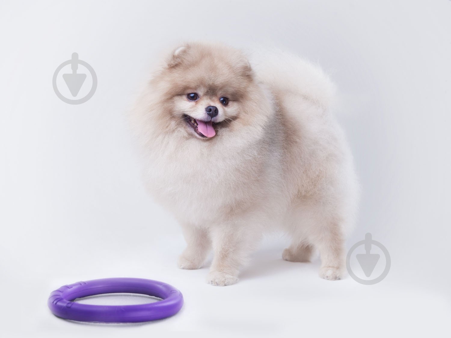 Снаряд тренировочный Puller Micro для собак 13 см - фото 4