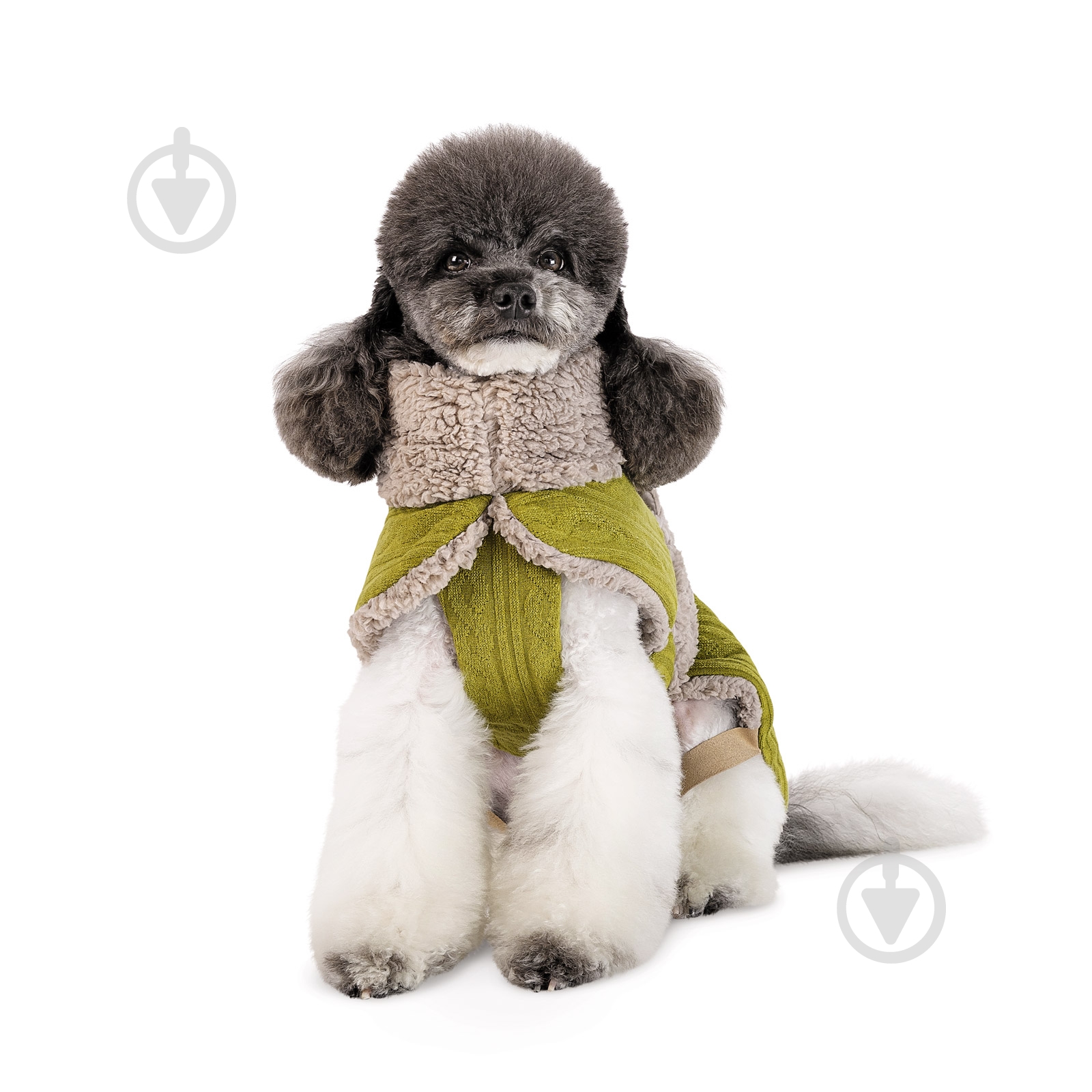 Попона Pet Fashion Gigi ХХS фісташковий/бежевий - фото 5 Попона Pet Fashion Gigi ХХS фісташковий/бежевий - фото 5