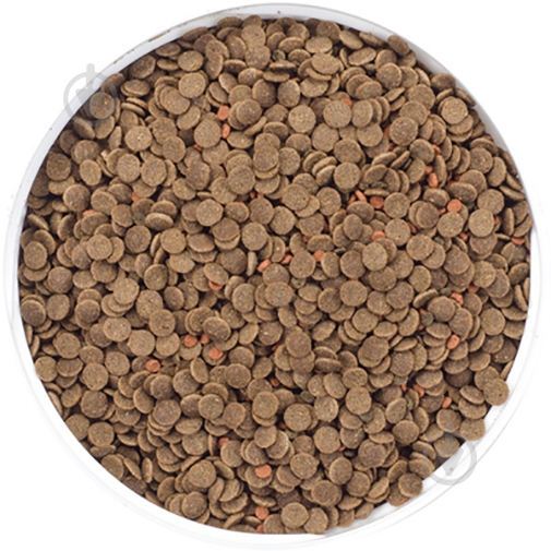 Корм Природа для рыб Биовит Сомики 10г (рыба и рыбные продукты) - фото 2