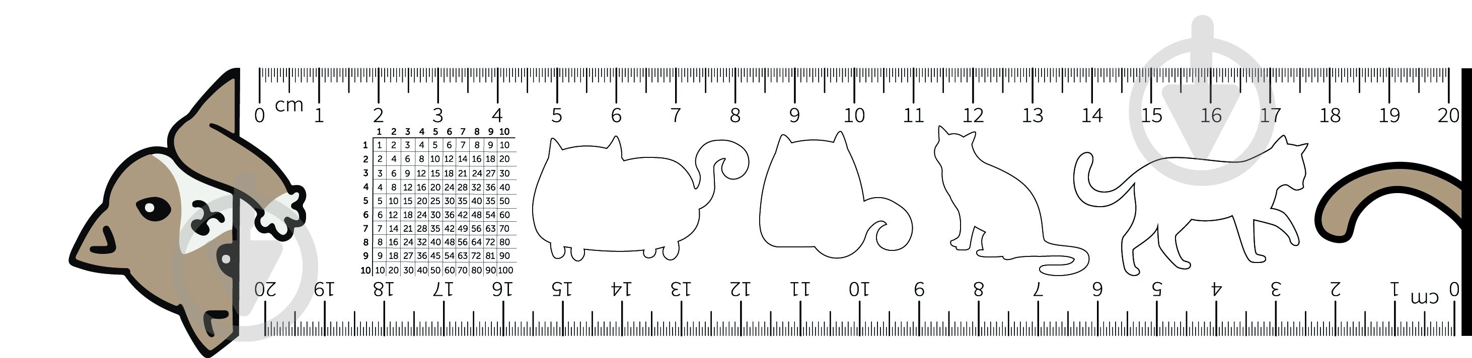 Линейка Котик 20 см - фото 1