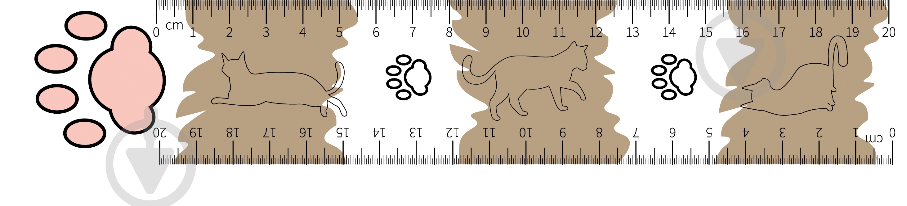 Линейка Лапка 20 см - фото 1