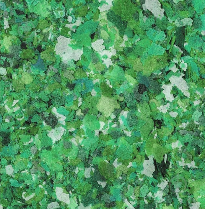 Корм Скалярія для рыб Спирулина 100% 10гр - фото 2