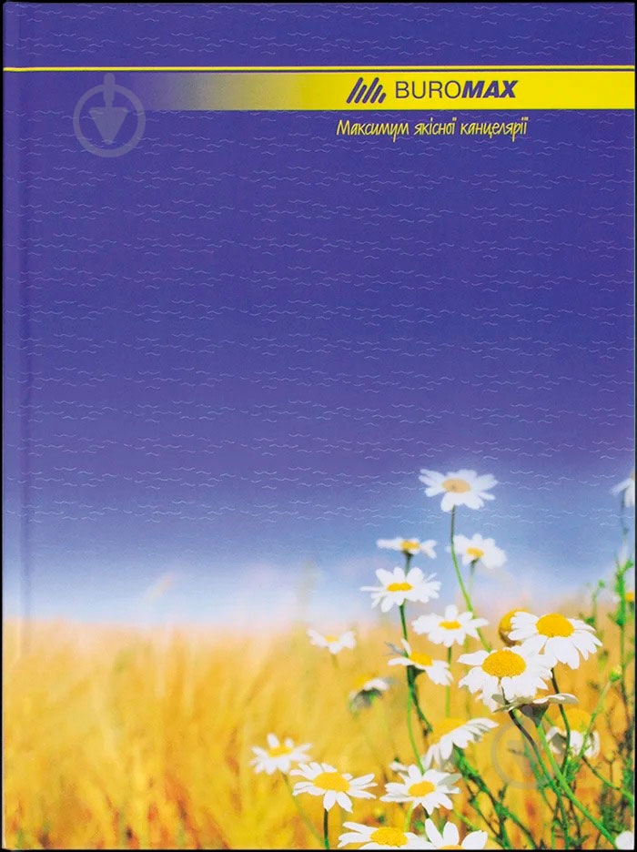 Книга канцелярская А4 BM.2401 Buromax - фото 3 Книга канцелярская А4 BM.2401 Buromax - фото 3