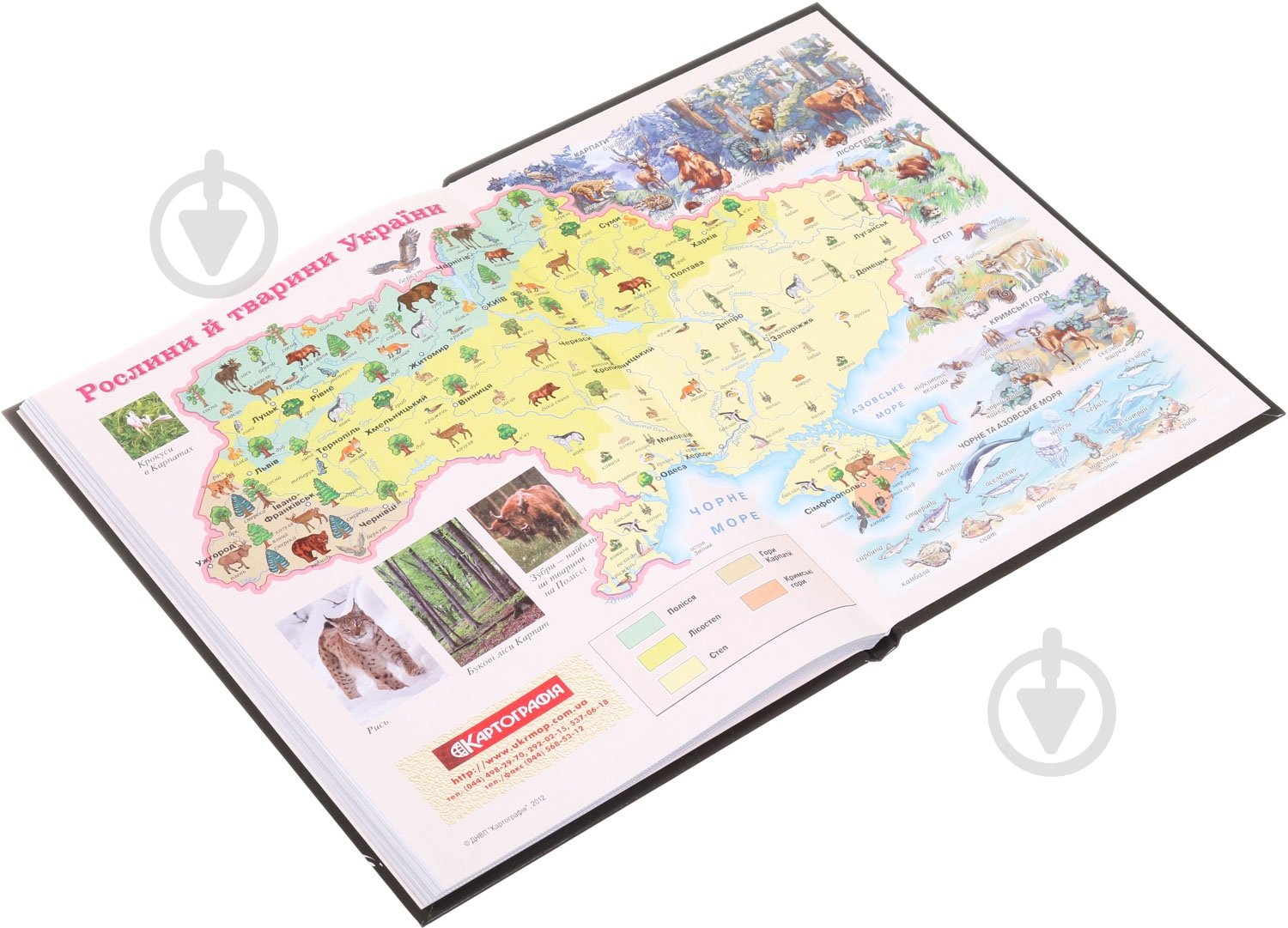 Дневник школьный Space Nota Bene - фото 4 Дневник школьный Space Nota Bene - фото 4