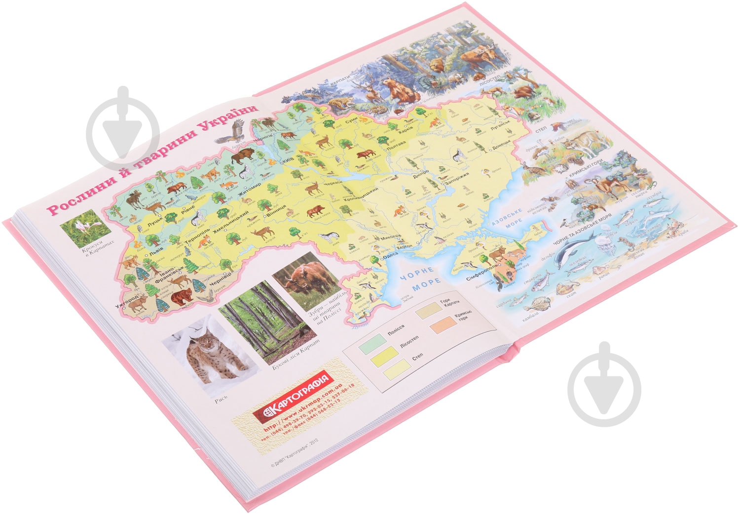 Дневник школьный Princess Nota Bene - фото 4