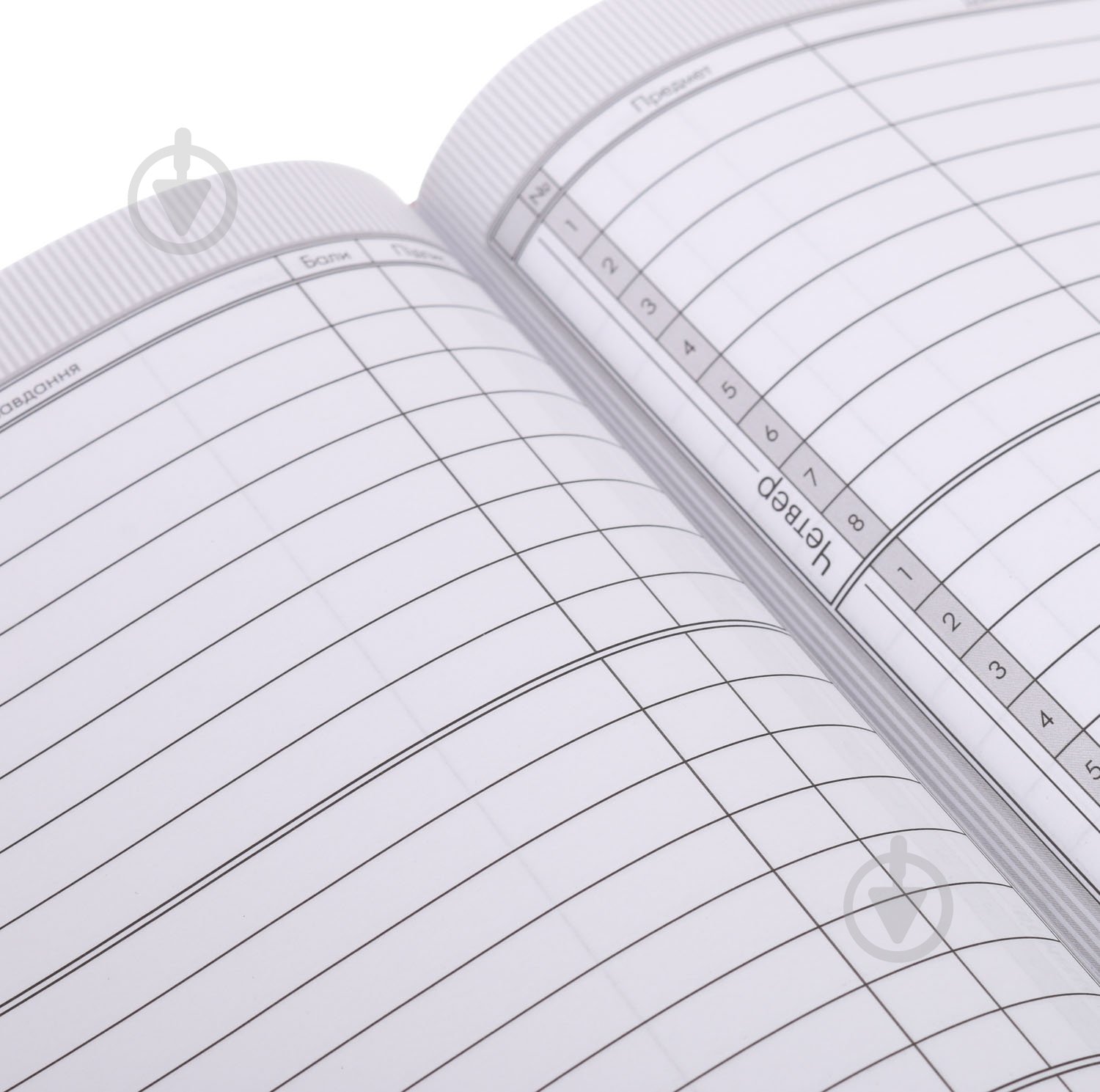 Дневник школьный Princess Nota Bene - фото 6