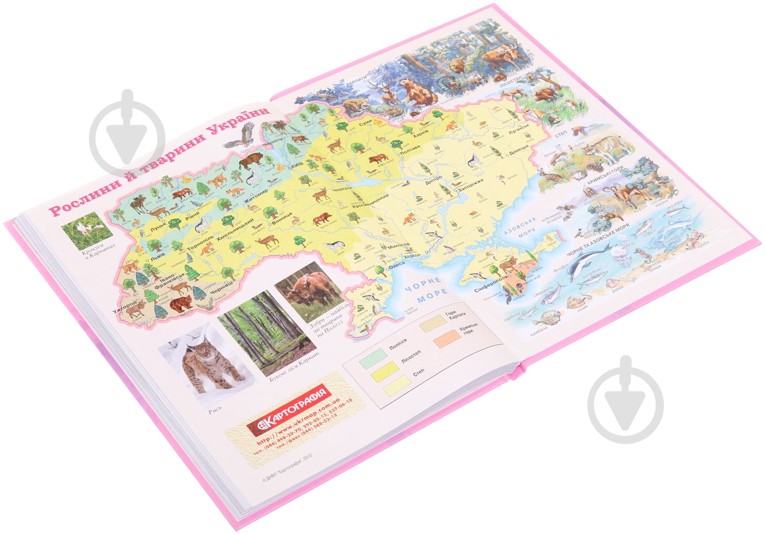 Дневник школьный Cat диз.3 Nota Bene - фото 4