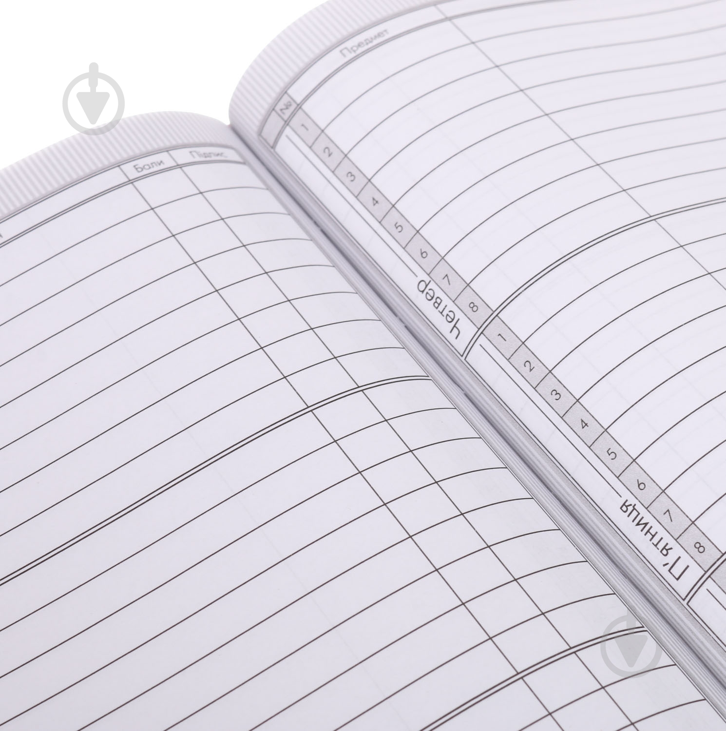 Дневник школьный Cat диз.3 Nota Bene - фото 6