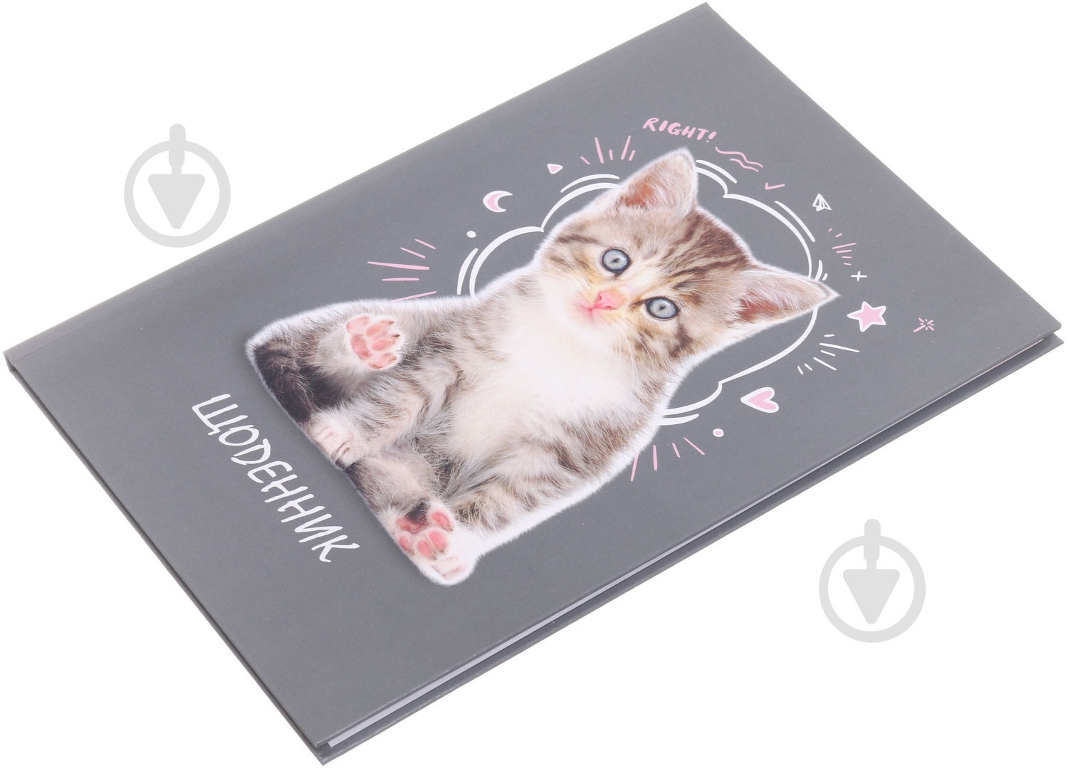 Дневник школьный Cat диз.1 Nota Bene - фото 2