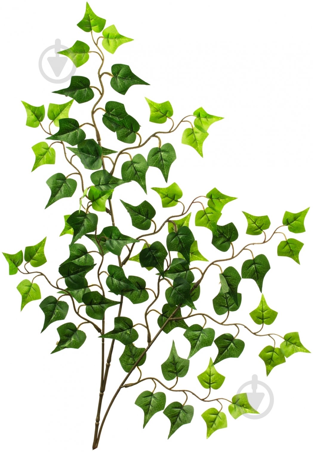 Растение искусственное Плющ FL-224 - фото 1 Растение искусственное Плющ FL-224 - фото 1