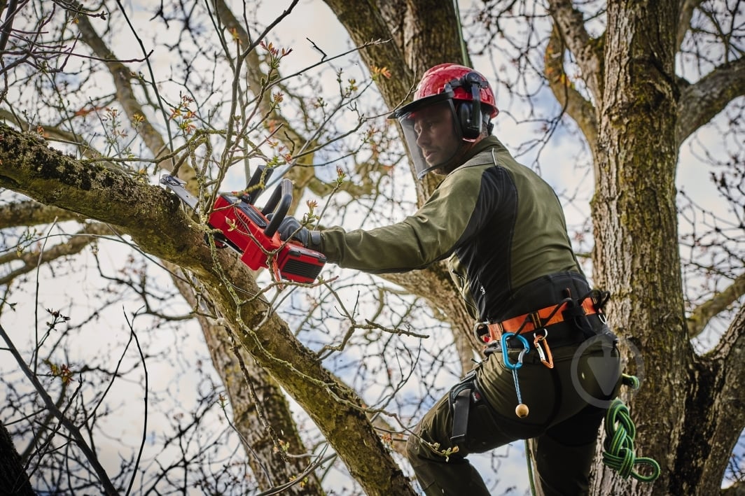 Пила мини аккумуляторная Einhell FORTEXXA 18/20 TH 4600020 - фото 6