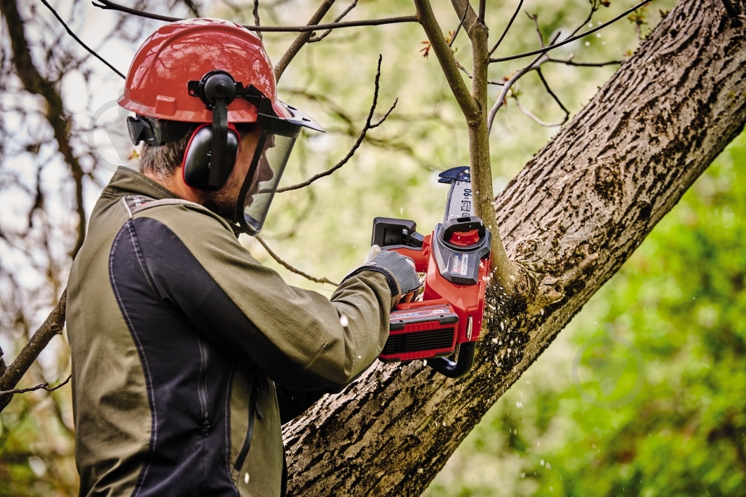 Пила мини аккумуляторная Einhell FORTEXXA 18/20 TH 4600020 - фото 5