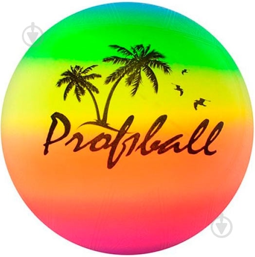 М'яч Profi MS 0008 - фото 1