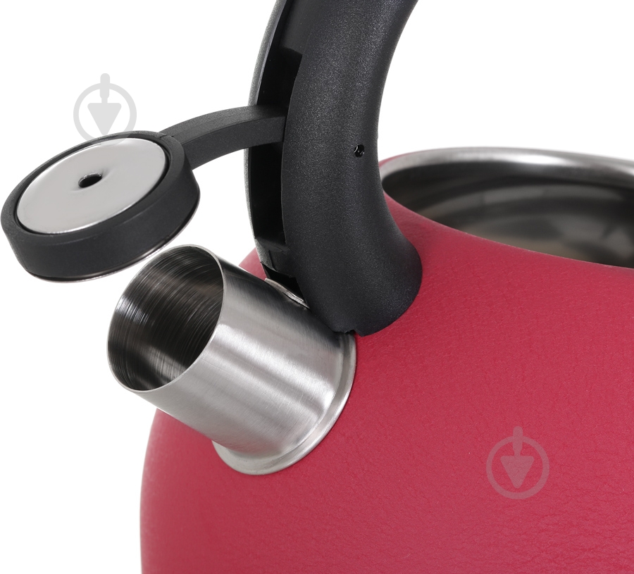 Чайник Rondell Infinity 2,7 л RDS-845 - фото 5