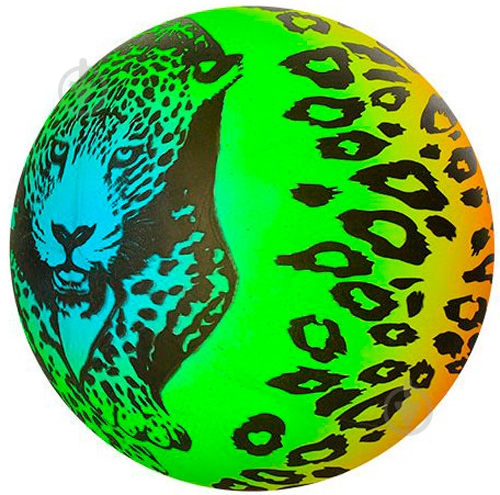 Мяч Радуга в ассортименте 23 см MS 1364 - фото 2 Мяч Радуга в ассортименте 23 см MS 1364 - фото 2