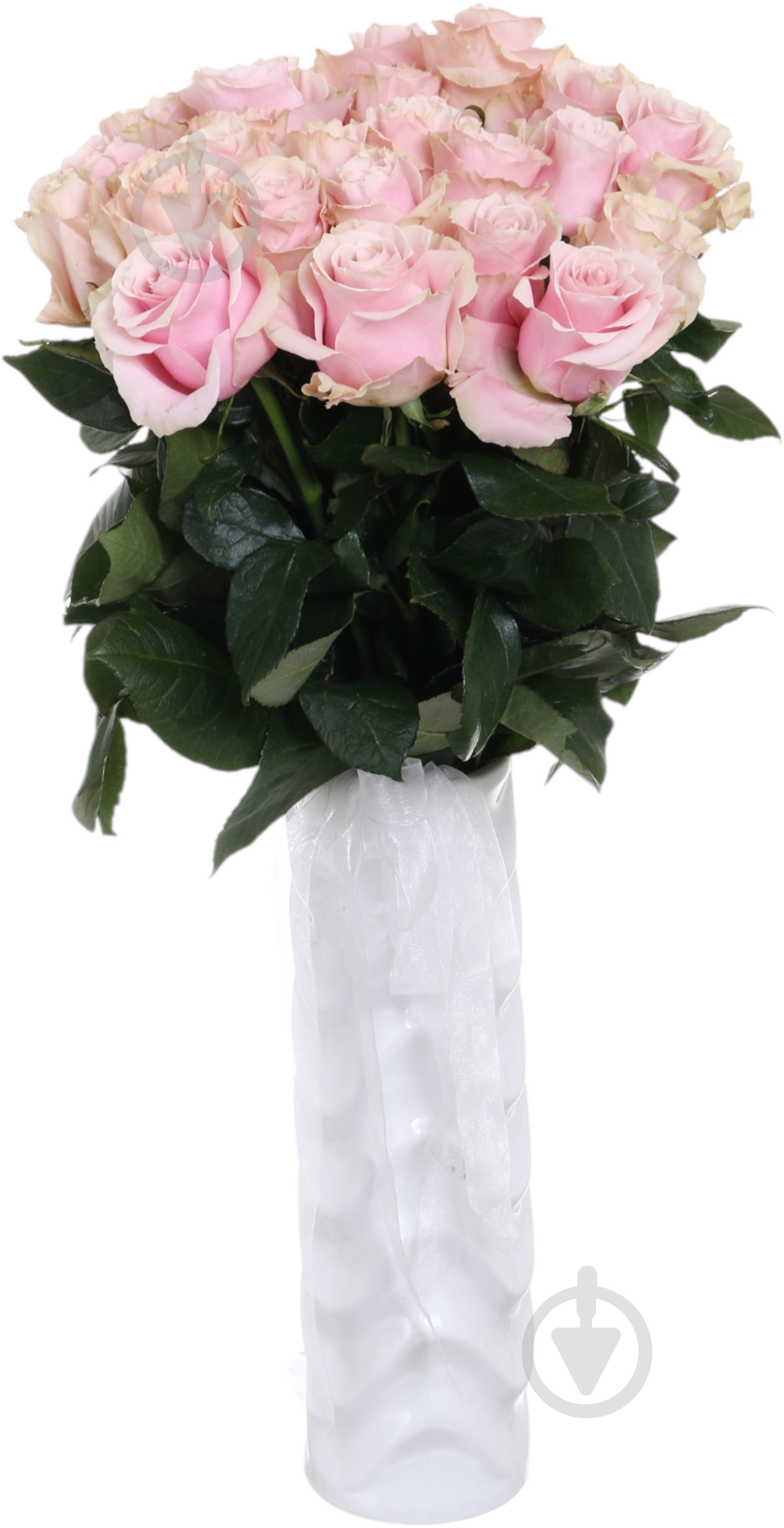 Роза Pink Mondial одноголовая классическая 80 см розовая (Нидерланды) - фото 3