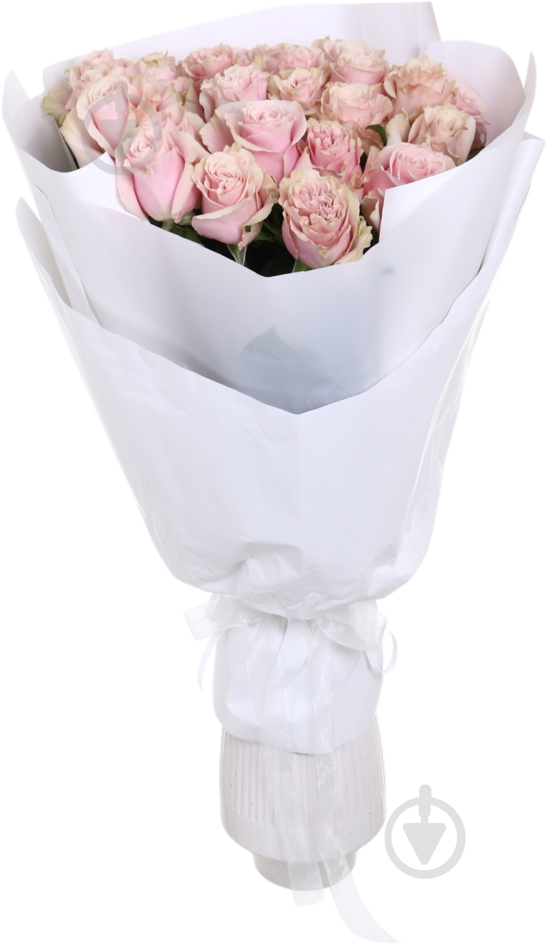 Роза Pink Mondial одноголовая классическая 80 см розовая (Нидерланды) - фото 4