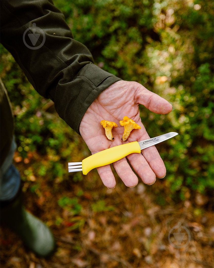 Нож Marttiini грибной Mushroom Knife (neck sheath) Z12.9.13.093 - фото 8 Нож Marttiini грибной Mushroom Knife (neck sheath) Z12.9.13.093 - фото 8