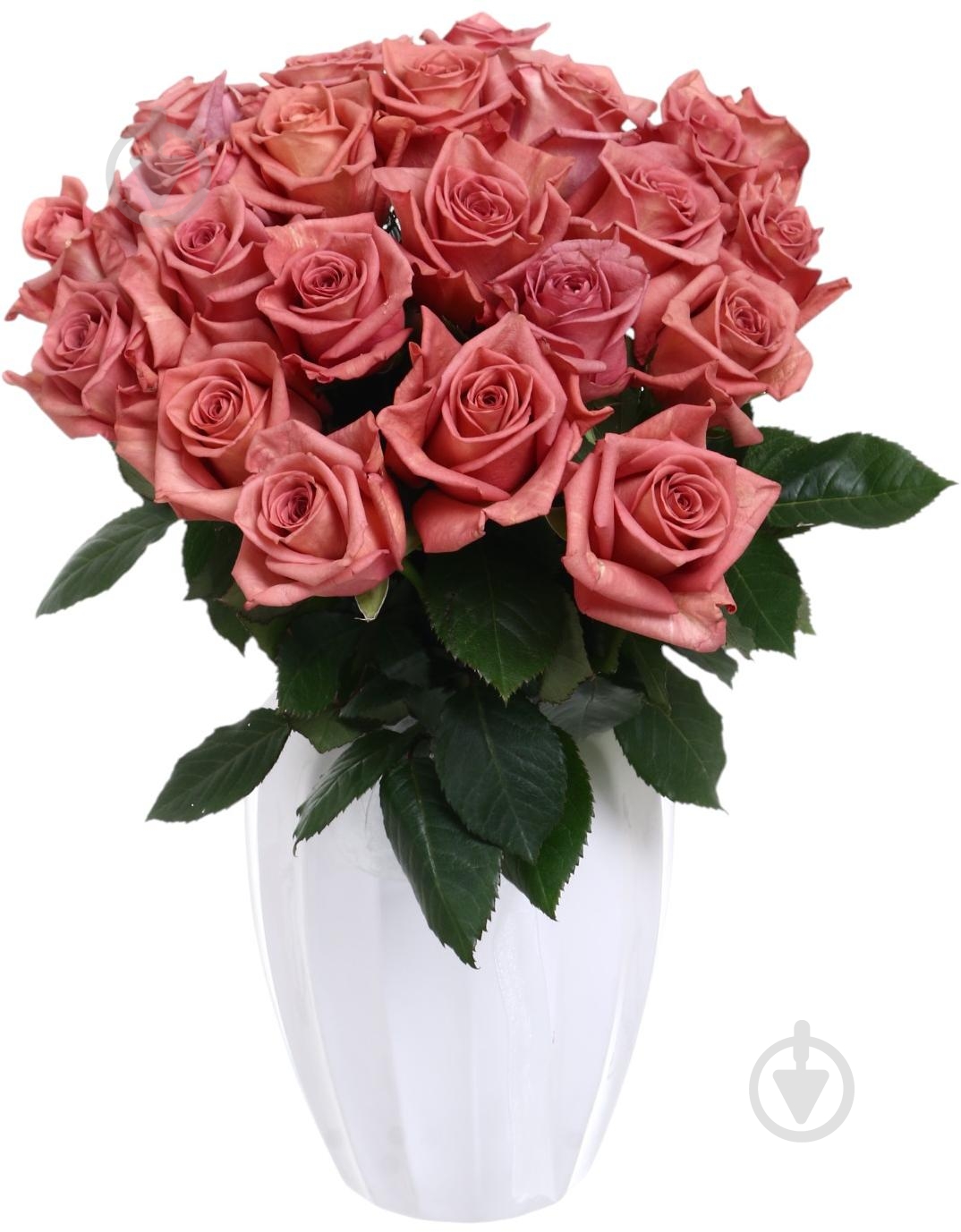 Роза Barista одноголовая классическая 70 см коричневый - фото 3 Роза Barista одноголовая классическая 70 см коричневый - фото 3