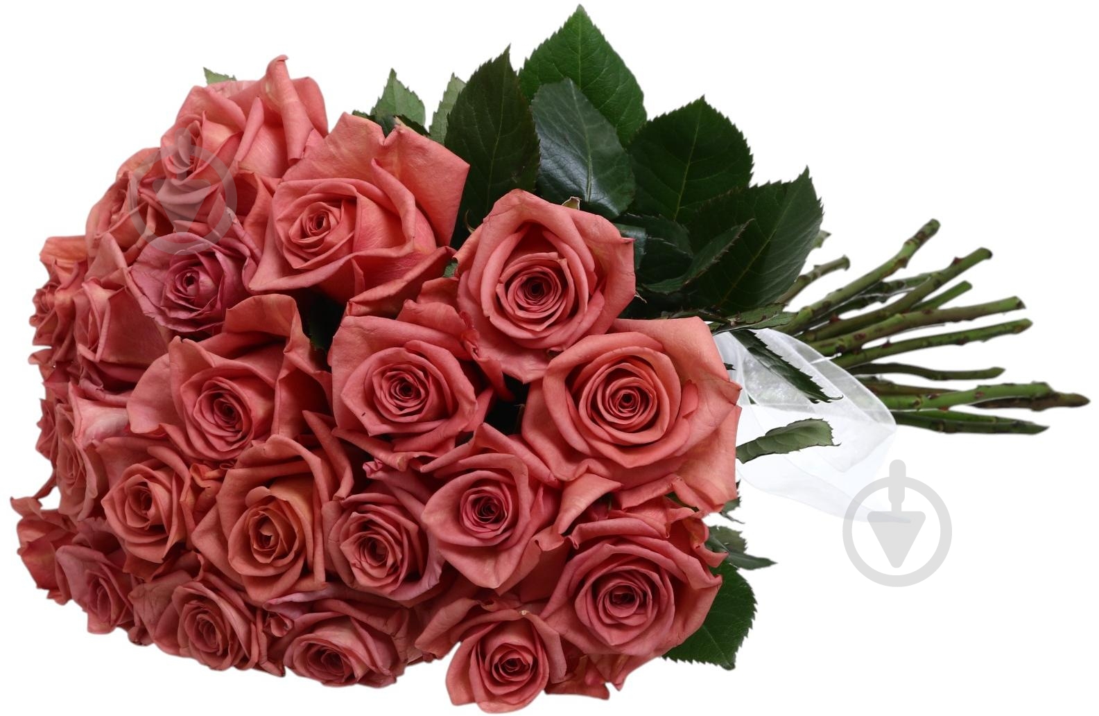 Роза Barista одноголовая классическая 70 см коричневый - фото 4 Роза Barista одноголовая классическая 70 см коричневый - фото 4