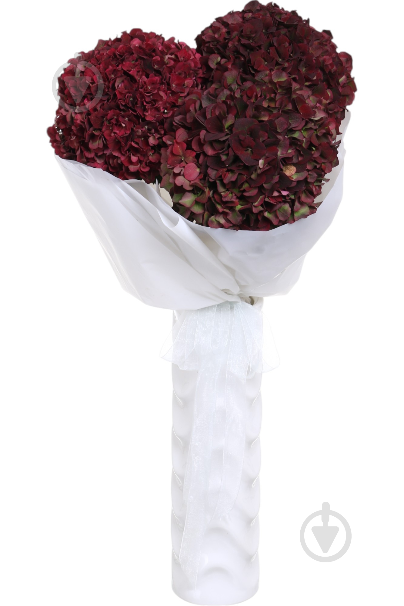Гортензія Magical Ruby Red 70 см червоний - фото 1