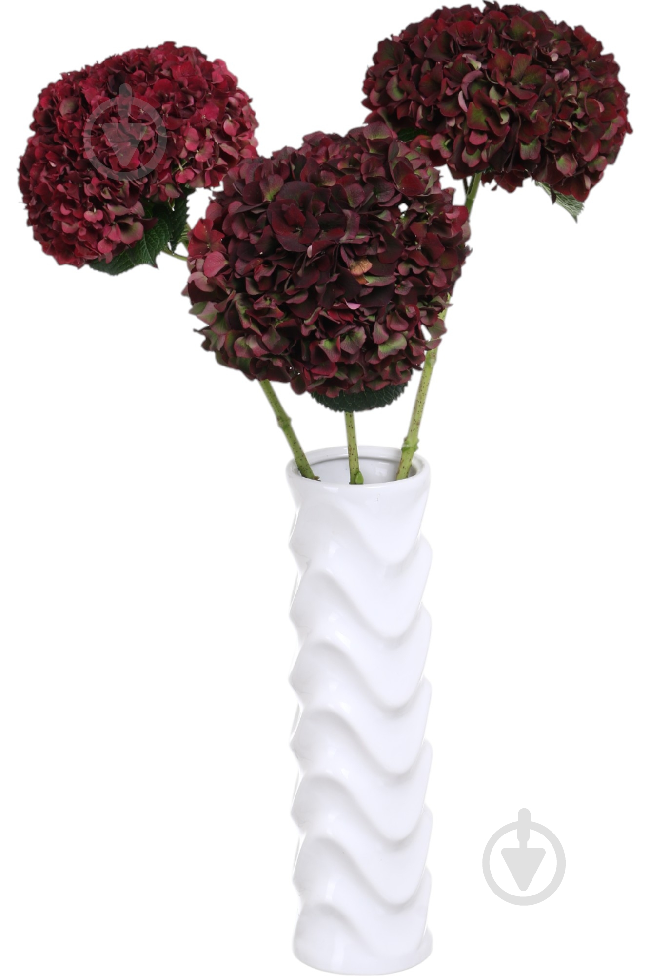 Гортензія Magical Ruby Red 70 см червоний - фото 4