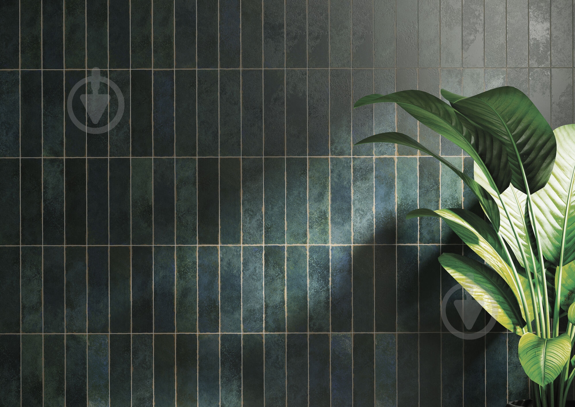 Плитка Cifre Oken Ivory 7,5x30 - фото 7