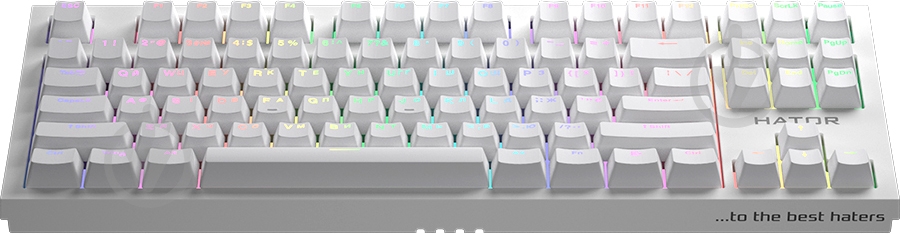 Клавиатура игровая Hator Skyfall (HTK-664) TKL PRO Wireless white - фото 2