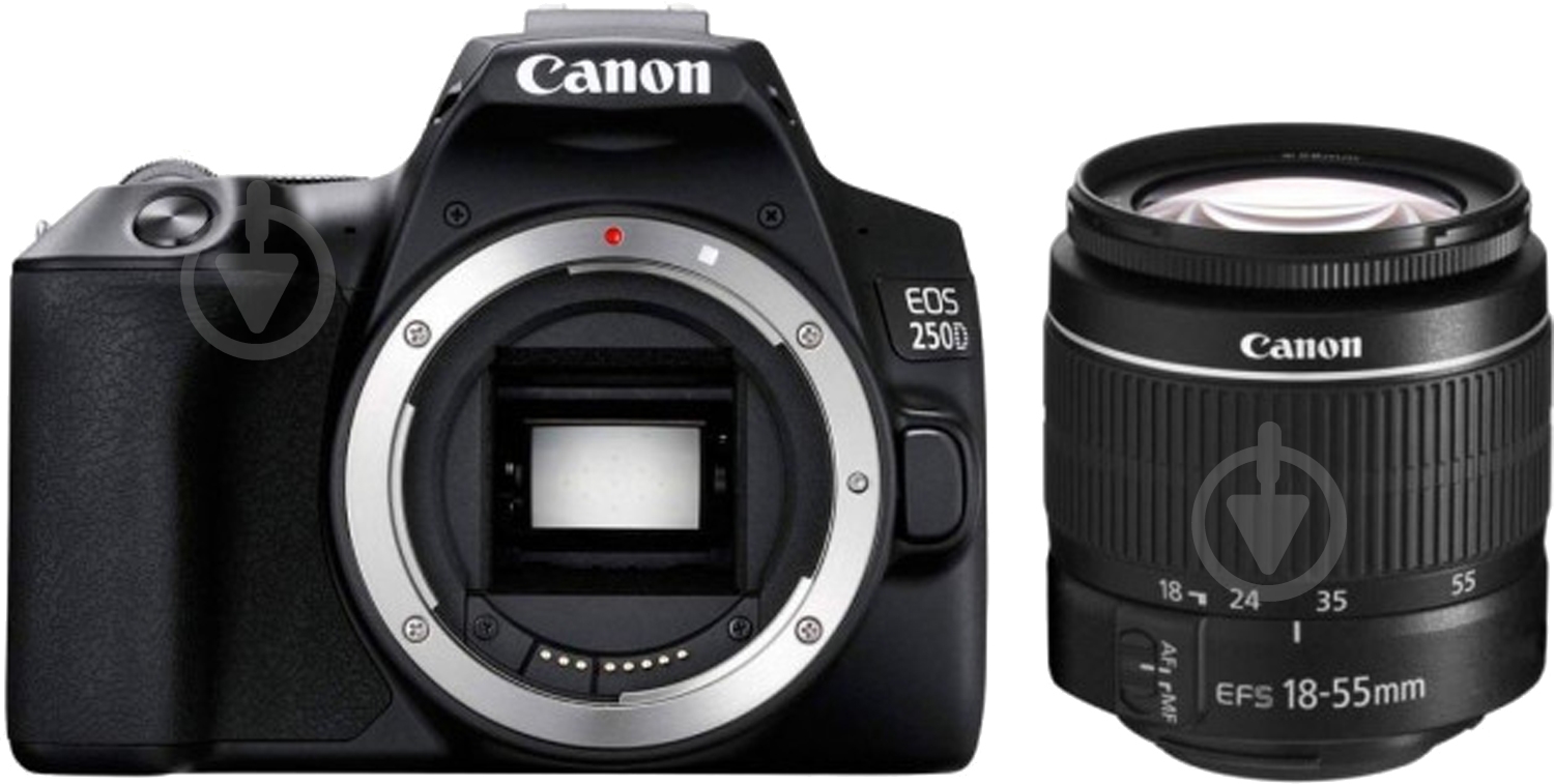 Фотокамера Canon EOS 250D kit 18-55 DC III (3454C009) black - фото 2