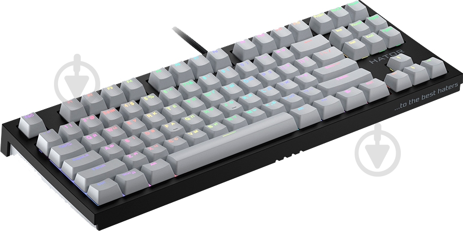 Клавиатура игровая Hator Skyfall (HTK-655) TKL PRO black - фото 3 Клавиатура игровая Hator Skyfall (HTK-655) TKL PRO black - фото 3