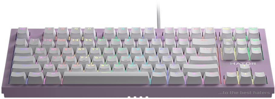 Клавиатура игровая Hator Skyfall (HTK-658) TKL PRO lilac - фото 2