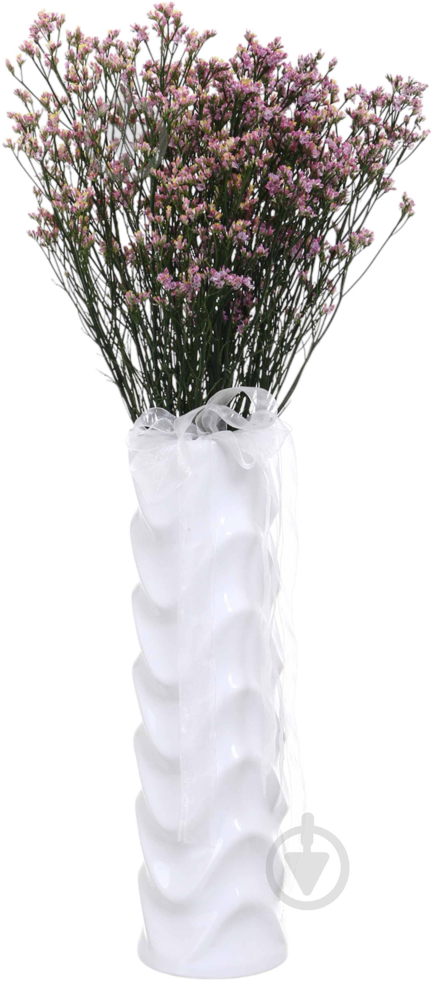 Хамелациум розовый (Нидерланды) - фото 3 Хамелациум розовый (Нидерланды) - фото 3