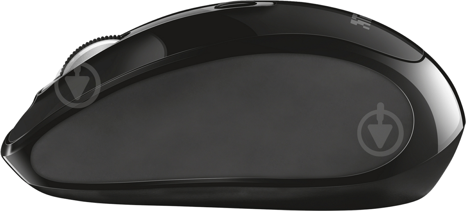 Мышь Trust Xani Optical Bluetooth Mouse black (6303303) - фото 3