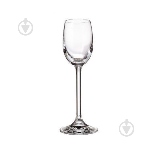 Чарка Bohemia Colibri 4S032/00000/065 65 мл 1 шт. - фото 1 Чарка Bohemia Colibri 4S032/00000/065 65 мл 1 шт. - фото 1