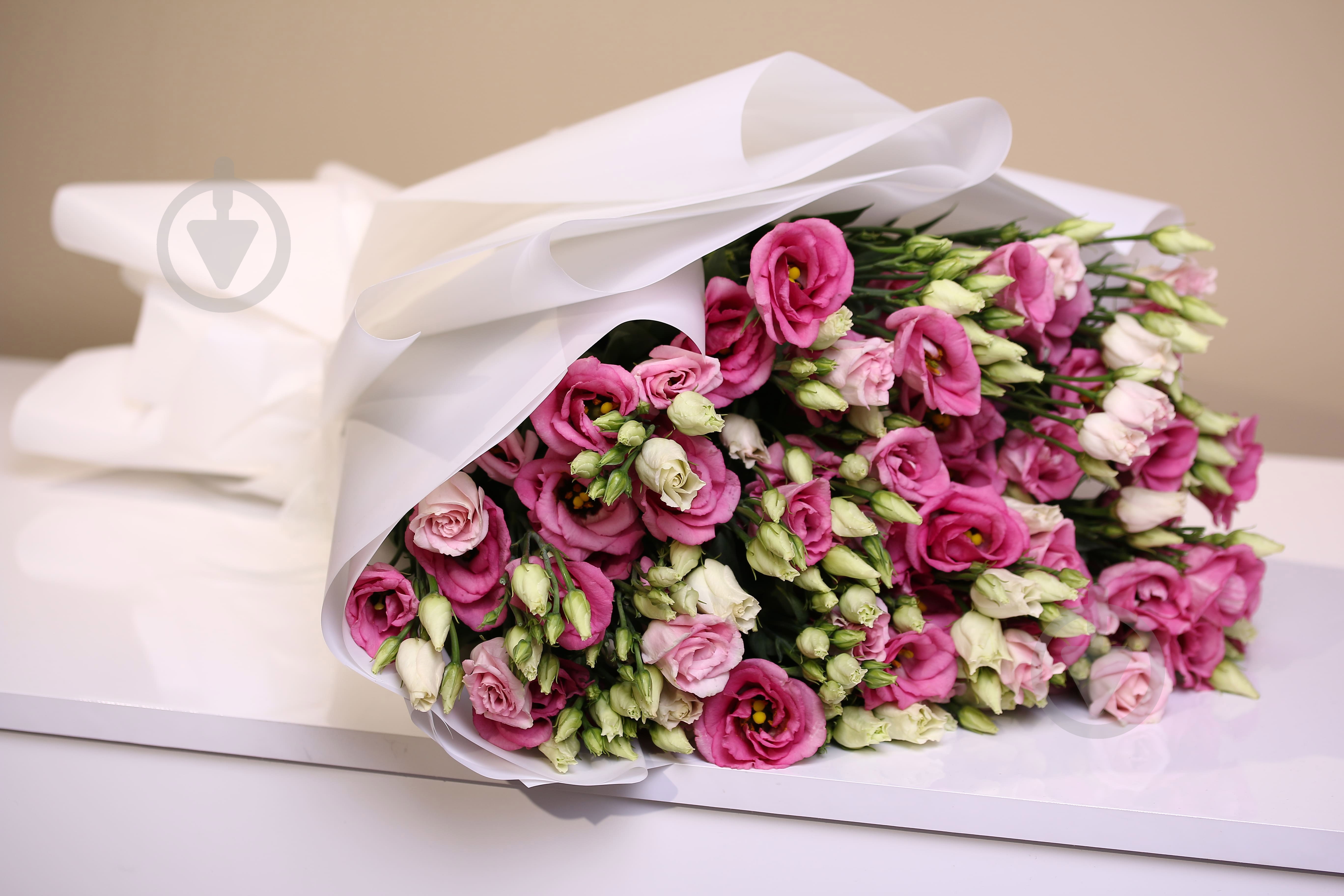 Еустома Rosita Pink рожева (Нідерланди) - фото 6